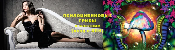 стаф Абинск